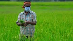 नेपाल बॉर्डर से खाद की तस्करी रोकना बड़ी चुनौती, हो रही कालाबाजारी, खाद के लिए मारामारी