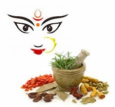 इन 9 औषधियों में है स्वयं मां दुर्गा का वास, जानिए क्याें कहा गया  इन्हे  "दुर्गा कवच"