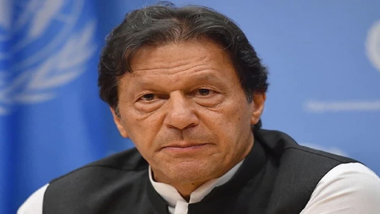 इमरान खान ने अपनी हत्या की जताई आशंका, कहा- मुझे मुर्तजा भुट्टो की तरह मारा जाएगा