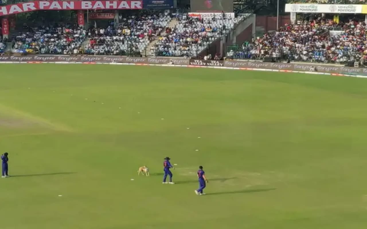 IND vs SA: भारत-दक्षिण अफ्रीका तीसरे वनडे मैच के दौरान ग्राउंड में आया कुत्ता, पहले निकला था सांप
