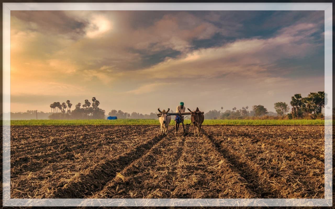 Kerala: मॉडर्न फार्मिंग तकनीक की पढाई करने गया भारतीय किसान वापस लौटा अपने घर, इजराइल में हो गया था लापता