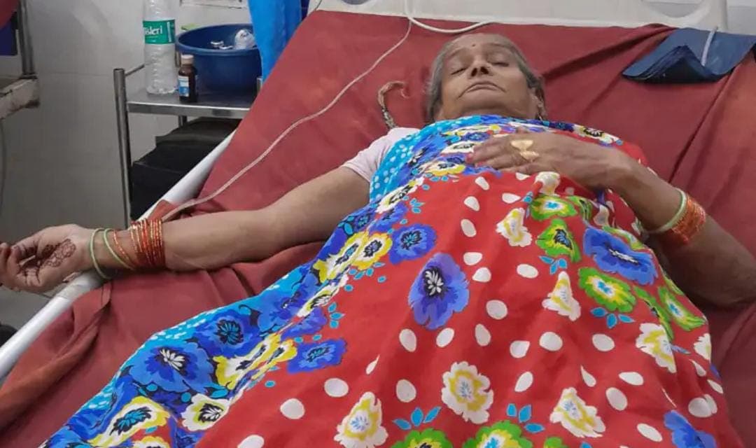 Agra News: बुजुर्ग महिला पर गाय ने किया हमला, सींग लगने से पेट फटा