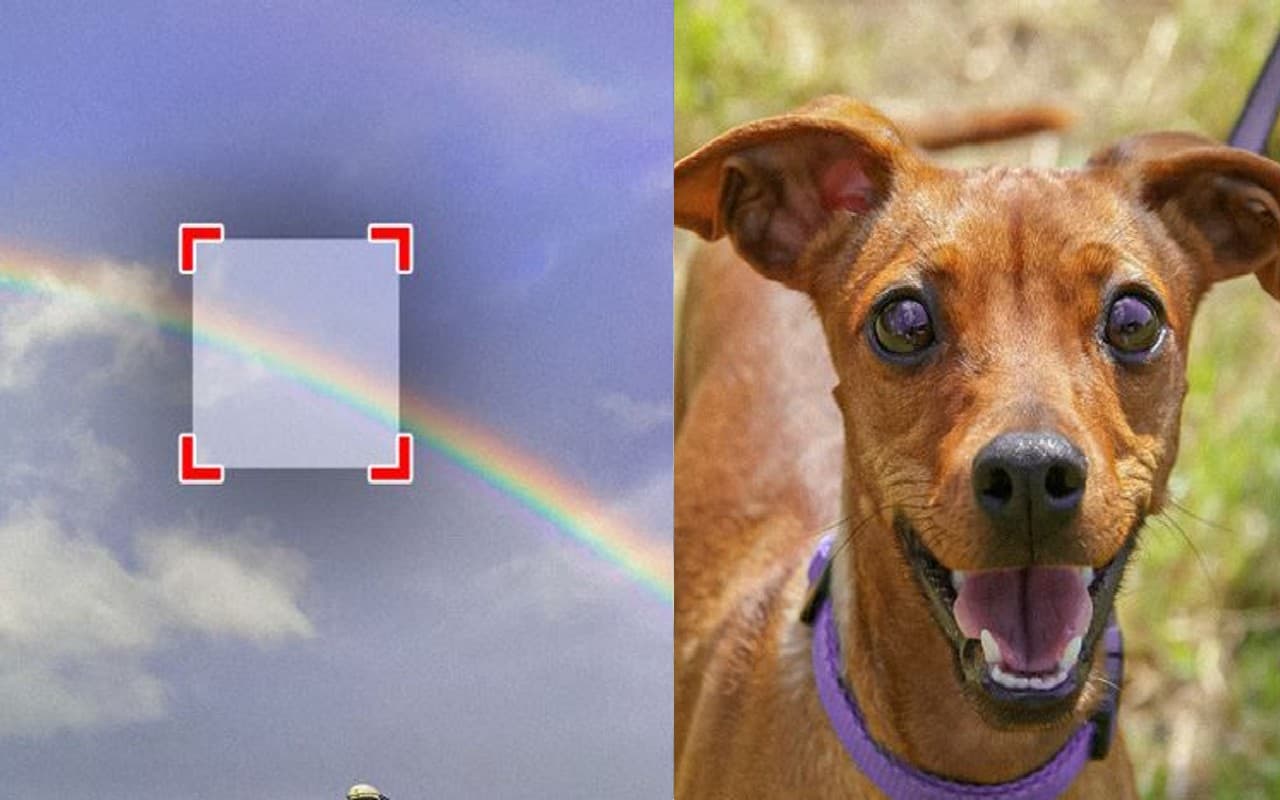 Astonishing Facts: दुनिया के ऐसे 12 रोचक तथ्य, जिनपर विश्वास नहीं कर पाएंगे आप, लेकिन है 100 प्रतिशत सच