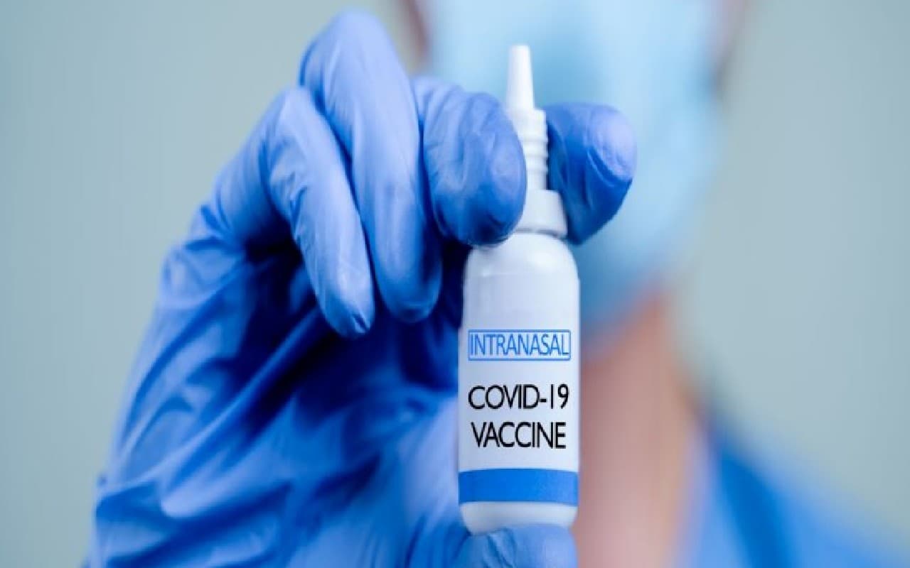 Intranasal Corona Vaccine: अब 18 साल से ऊपर के लोग भी लगा सकेंगे नाक के जरिए कोरोना की वैक्सीन