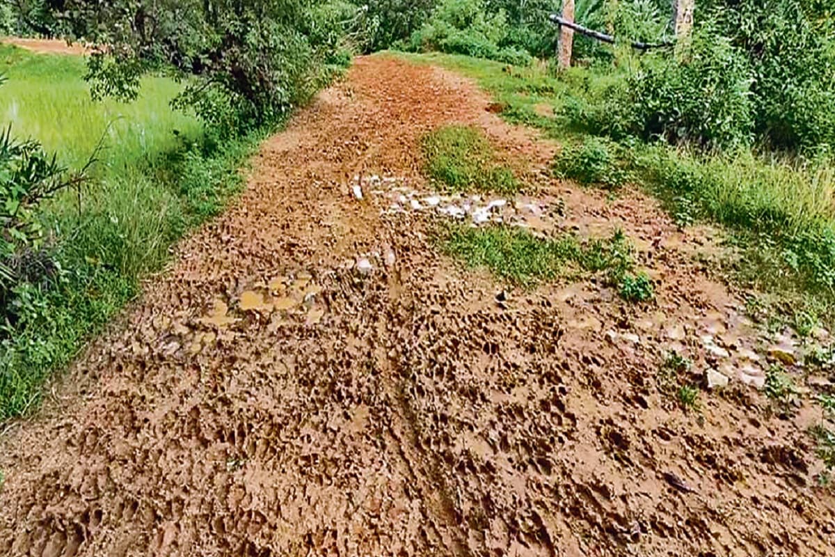 बरसात में टापू बन जाता है गुमला के चैनपुर प्रखंड का ये गांव