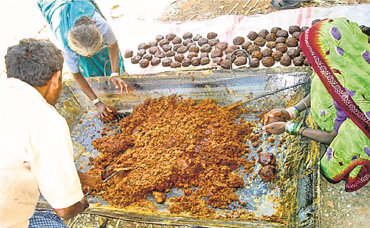 बिहार का डुमरांव देसी गुड़ के उत्पादन में बना सिरमौर, कई राज्यों के लोग हैं मुरीद, जानिए कैसे होता है तैयार