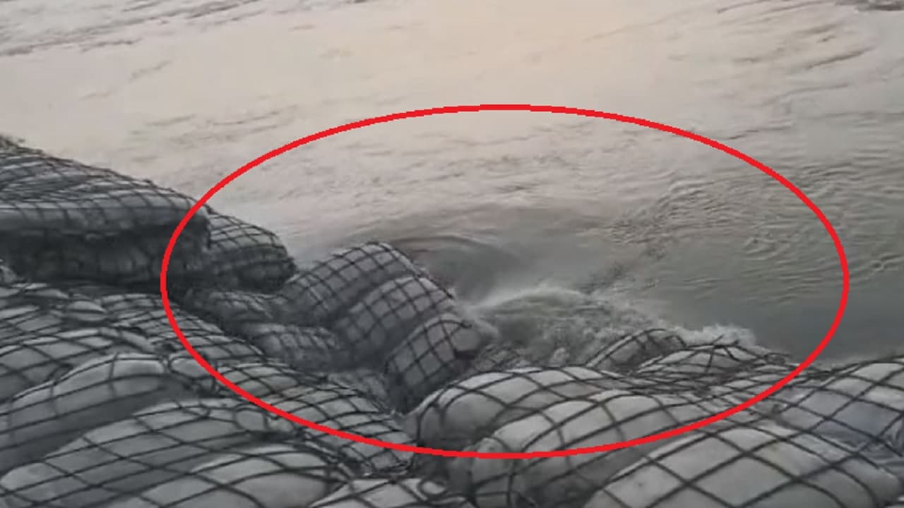 भागलपुर: कोसी में समा रहा  जहांगीरपुर बैसी का कटाव निरोधी कार्य, अब गांव के अस्तित्व पर ही मंडरा रहा खतरा