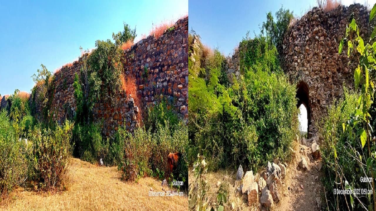 बिहार के जमुई में आज भी मौजूद है बृहद्रथ का बनाया किला, नौलखा गढ़ में दिखता है सैकड़ों साल पुराना इतिहास