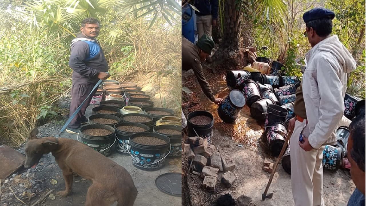 Bihar: जमुई में झाड़ियों के बीच बनाई जा रही थी अवैध देसी शराब, डॉग स्क्वायड लेकर पहुंच गयी उत्पाद पुलिस