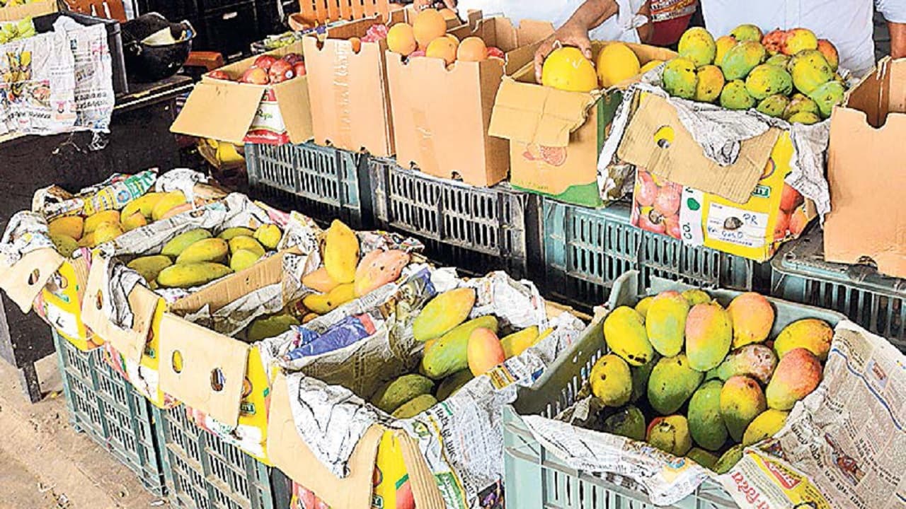 भागलपुर के बाजार में उतरा फलों का राजा आम, अभी 'खास' खरीदार ही ले रहे स्वाद, जानिये कब उतरेगा जर्दालू