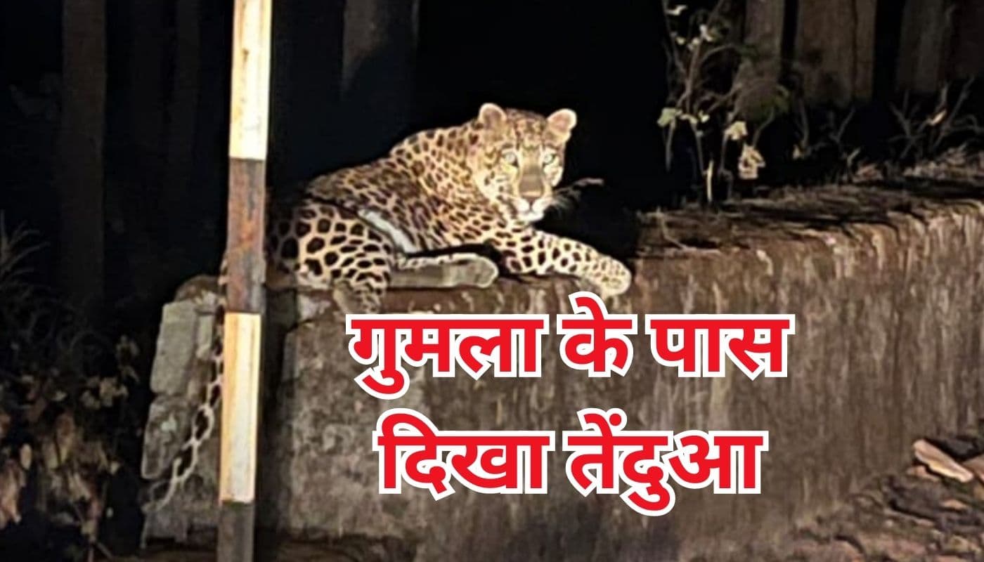 नेतरहाट घाटी सिरसी मोड़ पर तेंदुआ दिखने से लोगों में आतंक, वन विभाग ने कही ये बात
