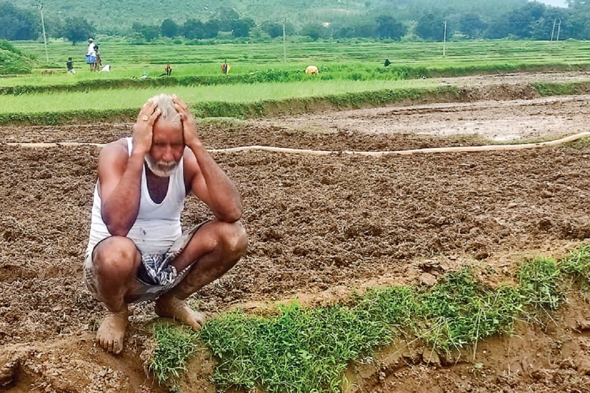 लगातार सूखे की मार झेल रहे हैं झारखंड के किसान, सरकार ने केंद्र के पास नहीं किया राहत के लिए आवेदन