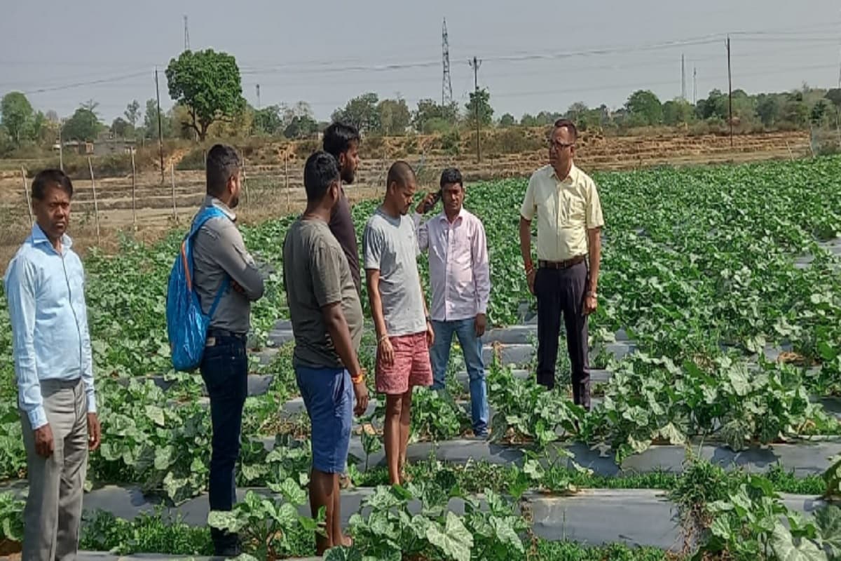 प्रभात खबर का असर, रांची में युवा किसान की आत्महत्या मामले में मृतक के घर पहुंचे कृषि पदाधिकारी ने की जांच