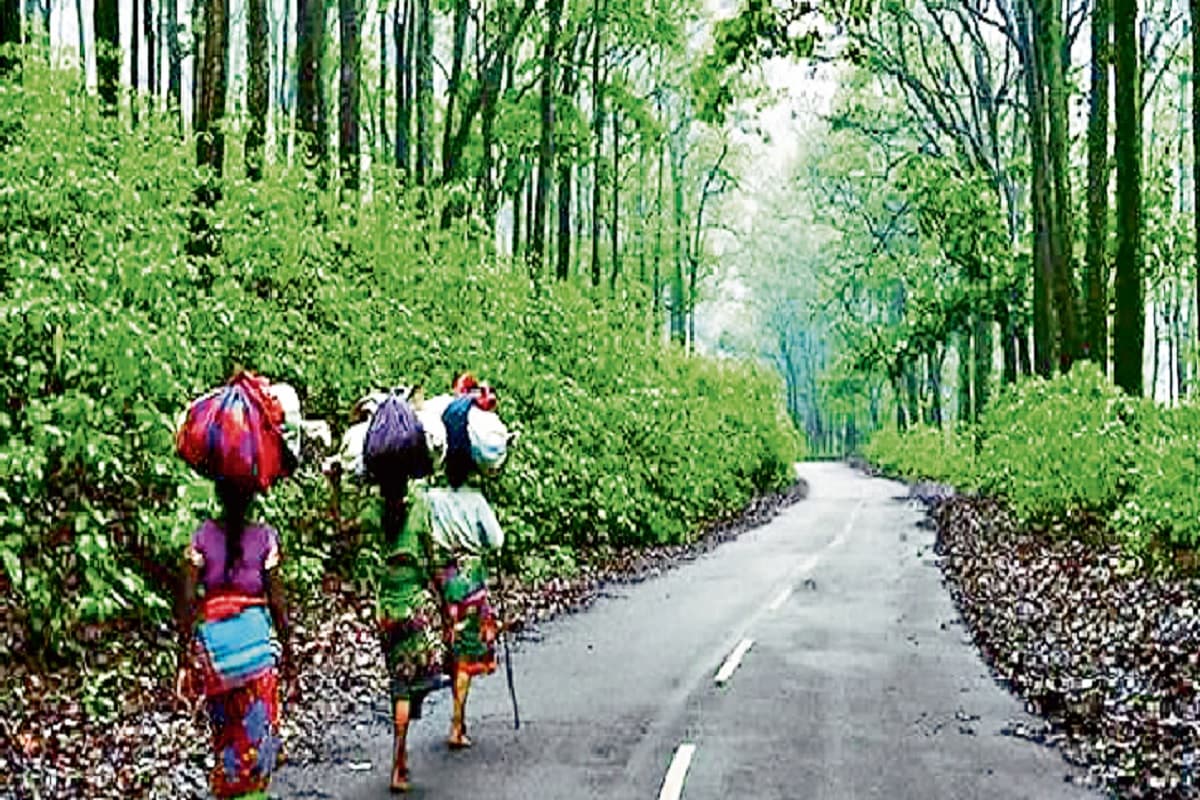 झारखंड में मेडिको टूरिज्म को मिलेगी बढ़ावा, टूरिस्ट स्पॉट्स पर खुलेंगें योगायुष केंद्र, मिलेगी ये सुविधाएं