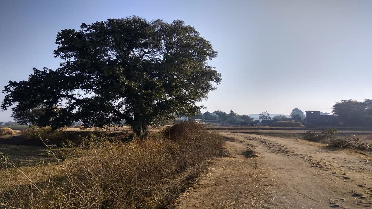Jharkhand Village Story: झारखंड का एक गांव बालुडीह, जहां अब ढूंढे नहीं मिलते बालू के कण