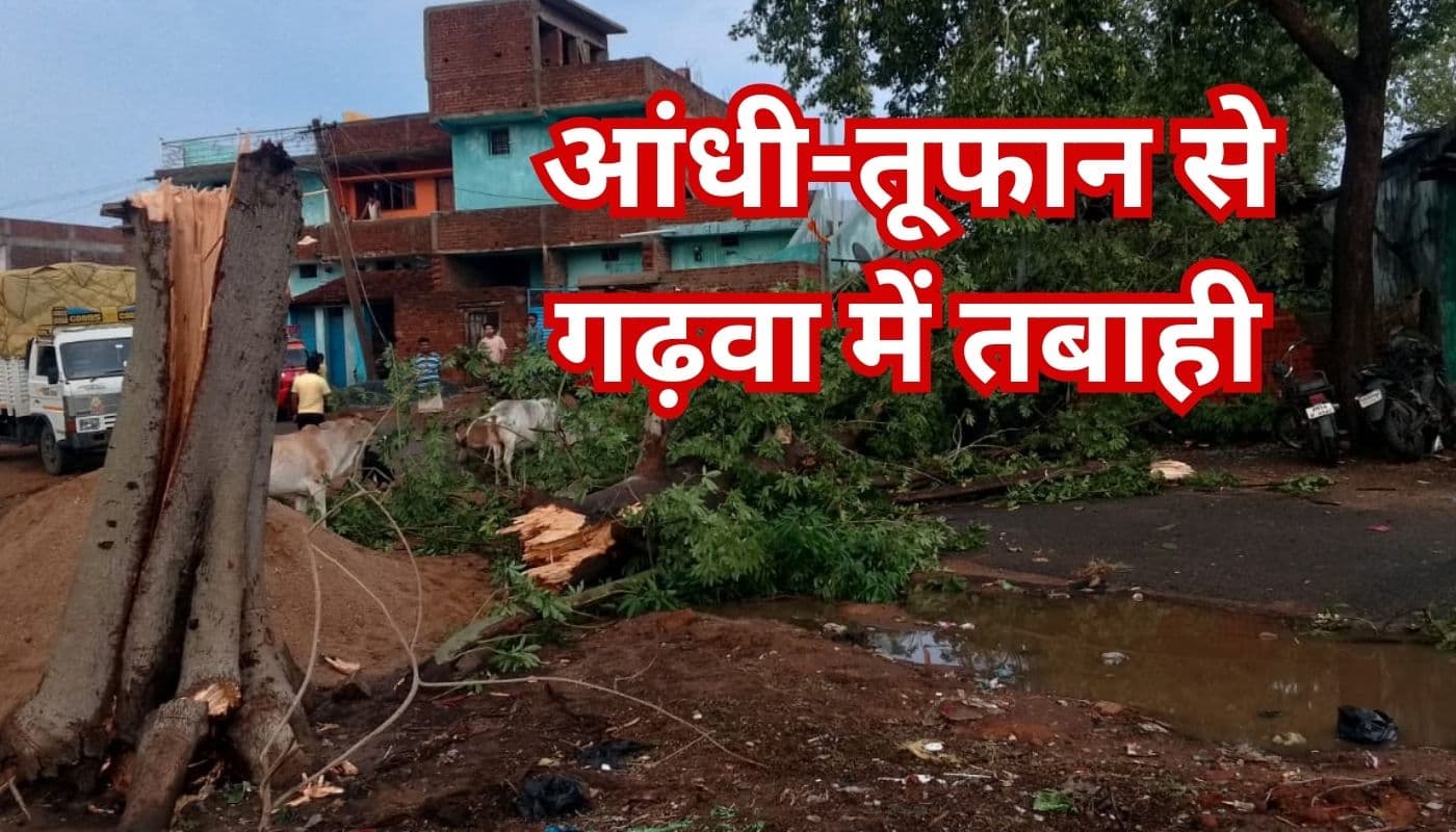 गढ़वा : आंधी-तूफान व बारिश से गोदरमाना में मची तबाही, कहीं सड़क पर तो कहीं मकान पर गिरा पेड़, देखें PICS