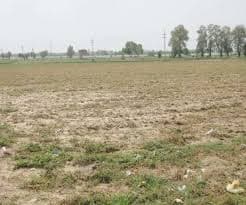 मध्य प्रदेश की तर्ज पर बिहार में भी जमीन की रजिस्ट्री में अब आधार अनिवार्य, गवाह व पहचान की नहीं होगी जरुरत...