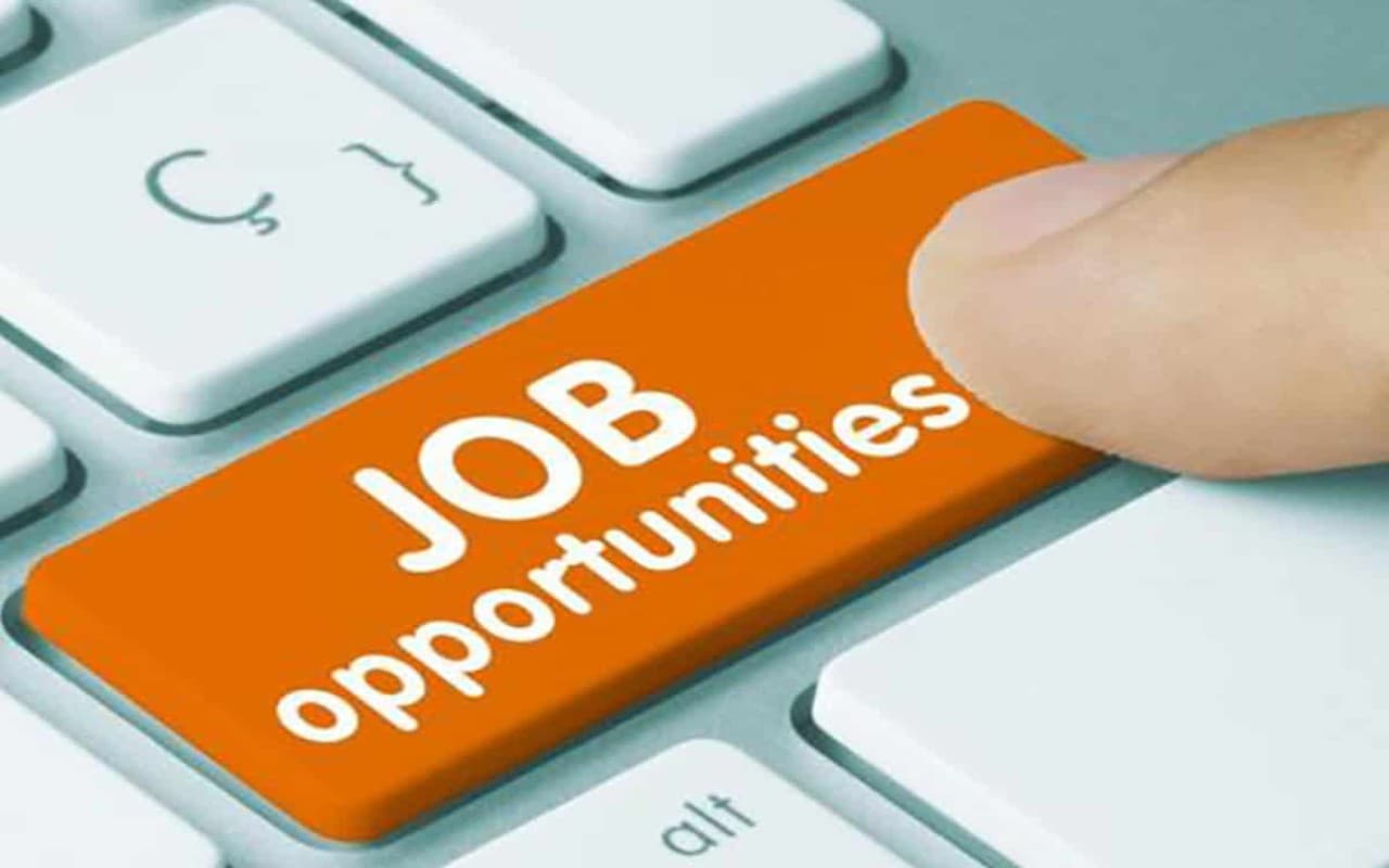 JOB: बिहार टेक्निकल सर्विस कमीशन करेगा फार्मासिस्ट के 1539 पदों पर नियुक्ति, जानें कितनी मिलेगी सैलरी