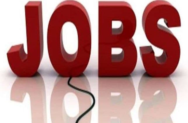 Consumer Affairs Recruitment 2023: यंग प्रोफेशनल और अन्य पदों के लिए इस दिन तक कर सकते हैं आवेदन