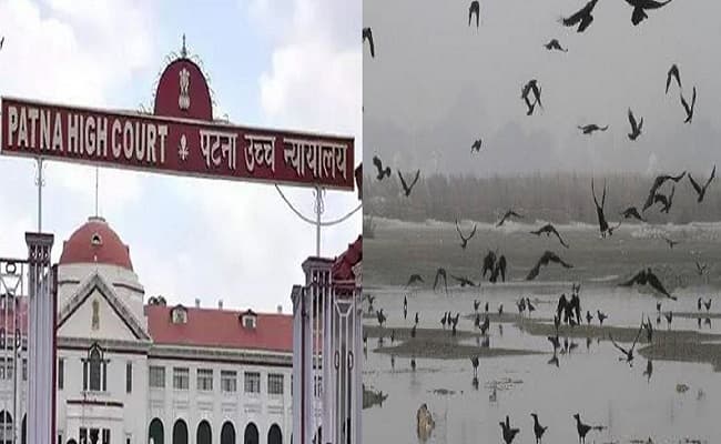बक्सर में शवों के आंकड़े पर हाईकोर्ट को संदेह! मुख्य सचिव 6 तो आयुक्त 900 मौत का कर रहे दावा, अदालत ने सरकार से मांगा जवाब