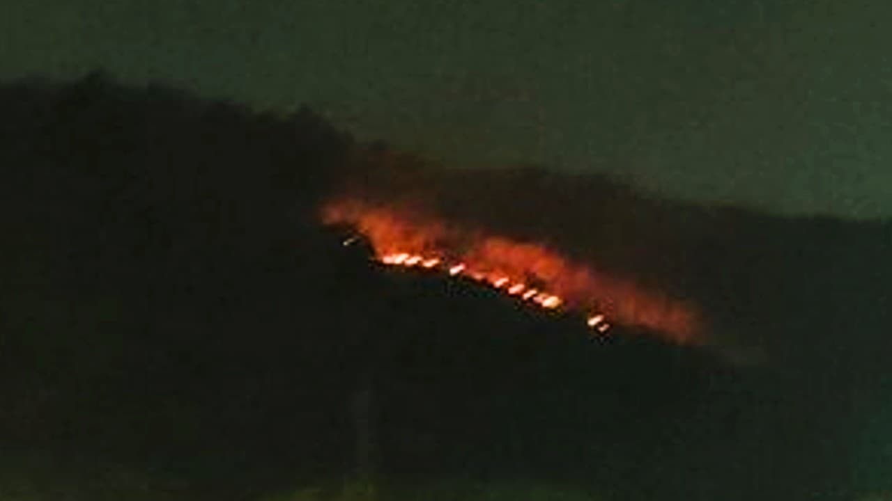 भारत के 30 प्रतिशत से अधिक जिले जंगल की भीषण आग के लिहाज से संवेदनशील : अध्ययन