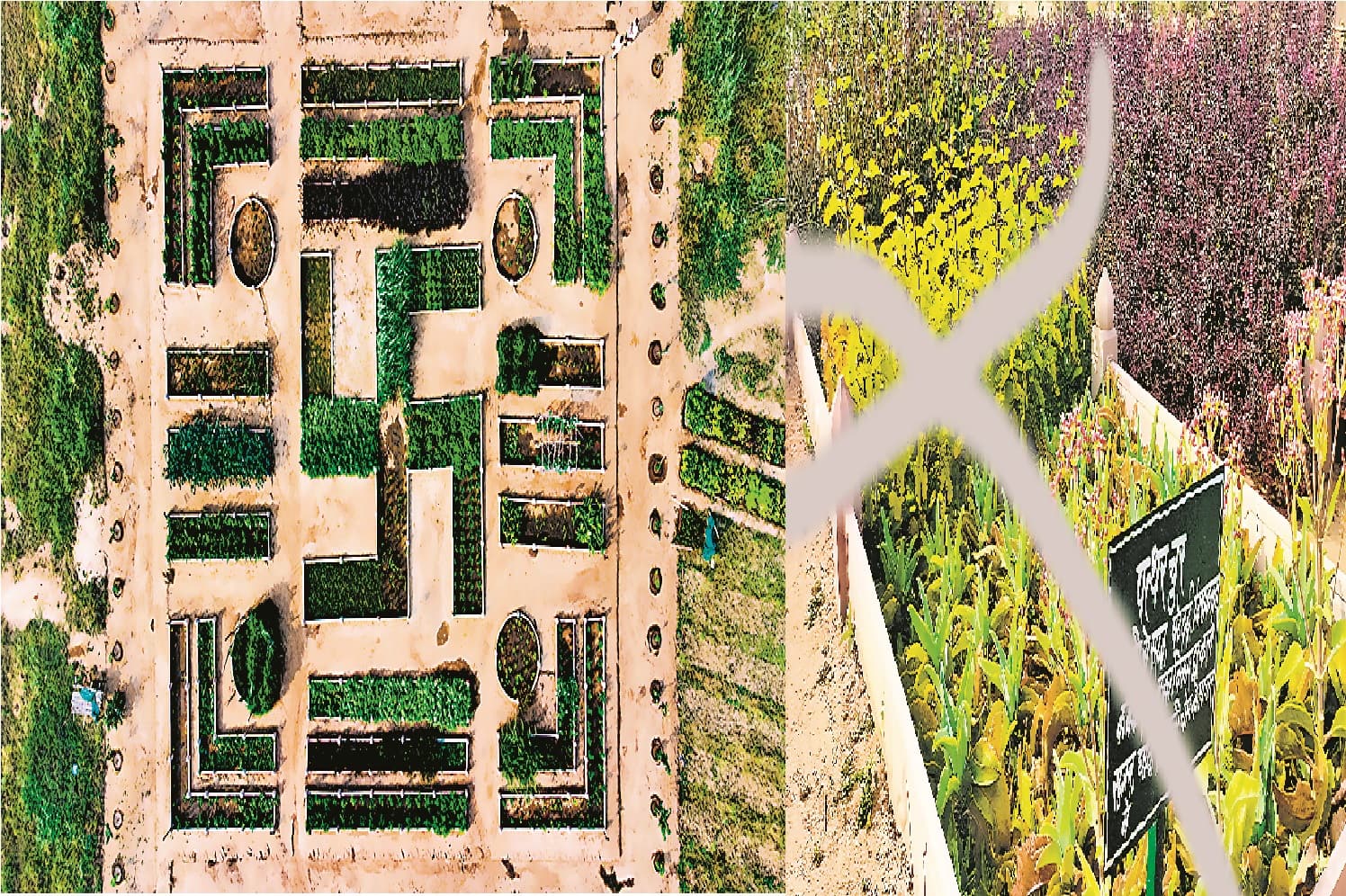 कैमूर के तुतला भवानी में पर्यटकों के लिए नया पार्क बनकर तैयार, स्वास्तिक आकार में बना है हर्बल पार्क