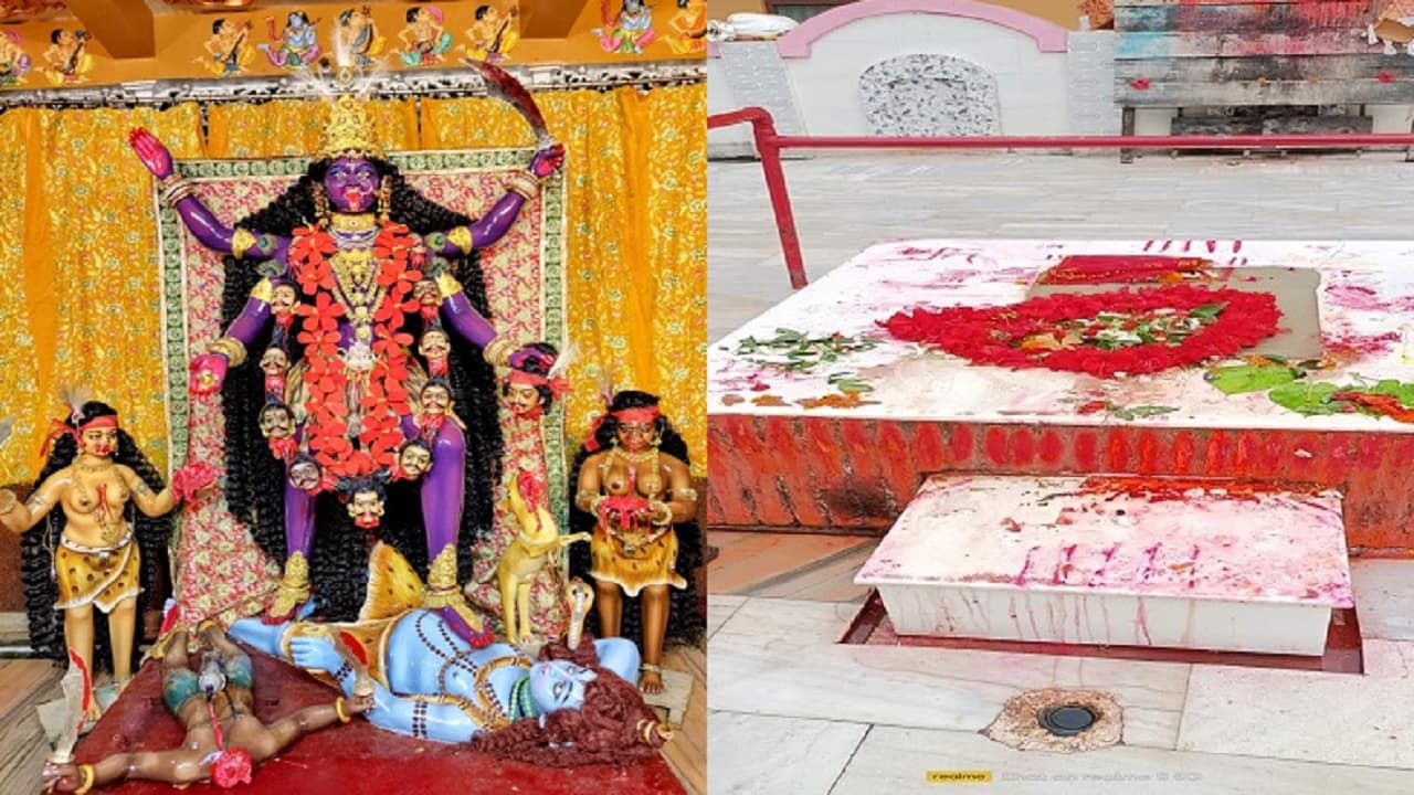 Bihar: भागलपुर में कहीं सोने से लदी रहती हैं मां काली, तो कहीं खुले आसमान के नीचे ही पिंड पूजन, जानें वजह
