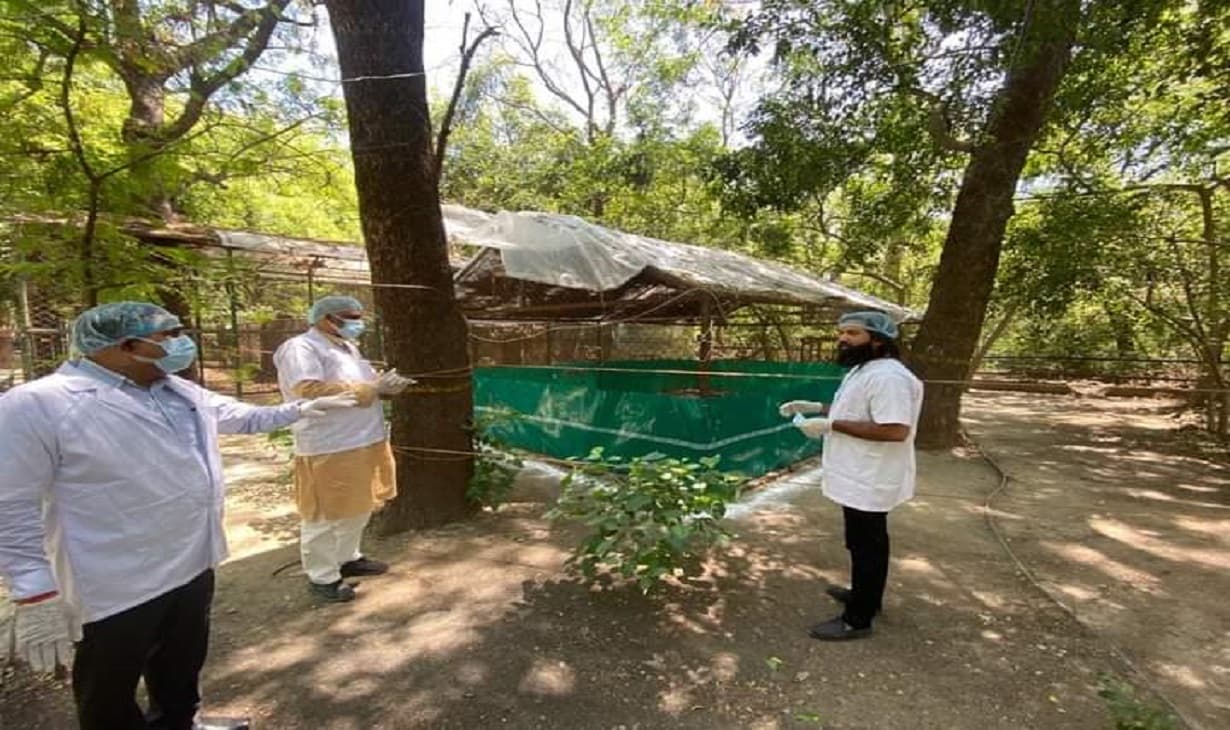 कानपुर चिड़ियाघर पहुंचे आरिफ, अपने दोस्त सारस से की मुलाकात, सपा विधायक रहे मौजूद