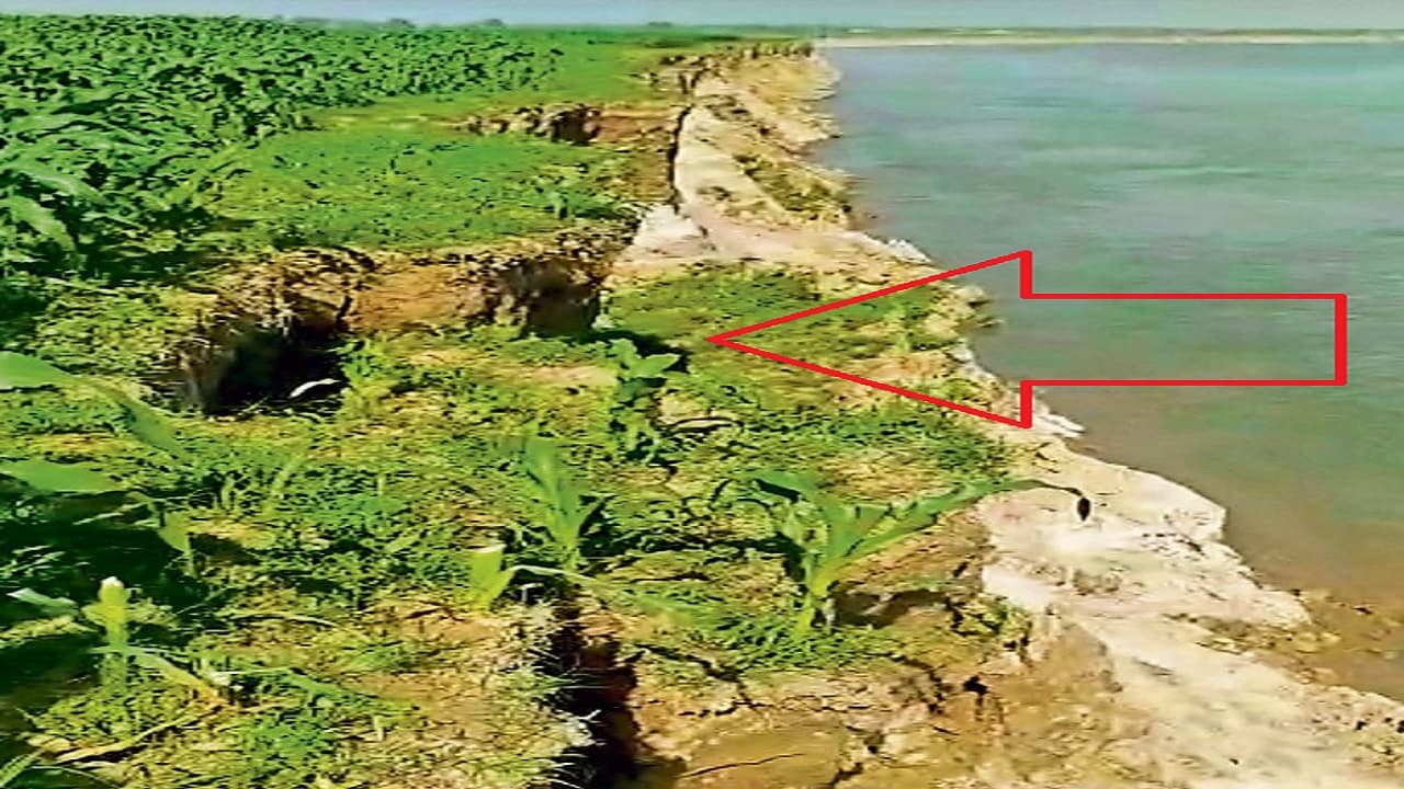 Bihar: कटिहार में फसल के साथ गंगा में रोज समा रही जमीन, कटाव की समस्या से त्रस्त हैं इस गांव के किसान...