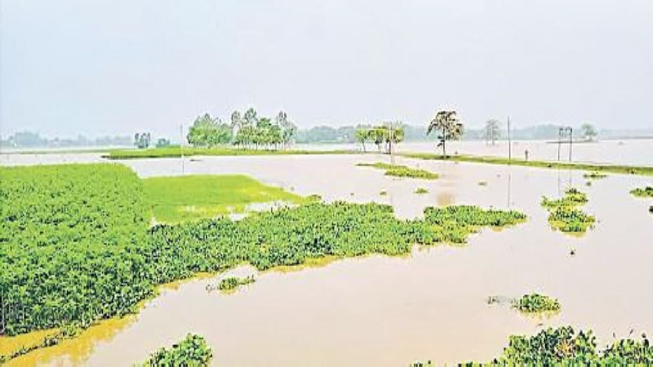 Bihar Flood: कटिहार में महानंदा नदी का रौद्र रूप , गंगा, कोसी व बरंडी में उफान, जानें अपने इलाके का हाल
