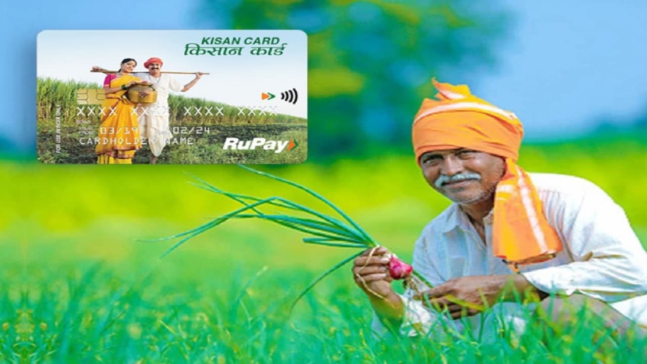 Kisan Credit Card: किसानों को अब नहीं फैलाना पड़ेगा हाथ, केसीसी से आसानी से मिलेगा ऋण, ऐसे करें आवेदन