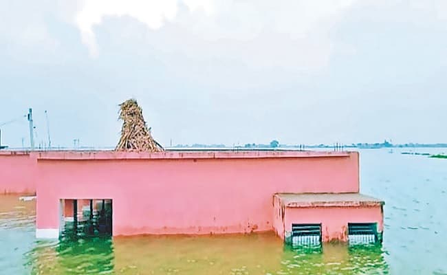 Bihar Flood: समस्तीपुर में गंगा के बढ़ते जलस्तर से गहरायी संकट, लाल निशान के ऊपर बह रही बागमती और बूढ़ी गंडक