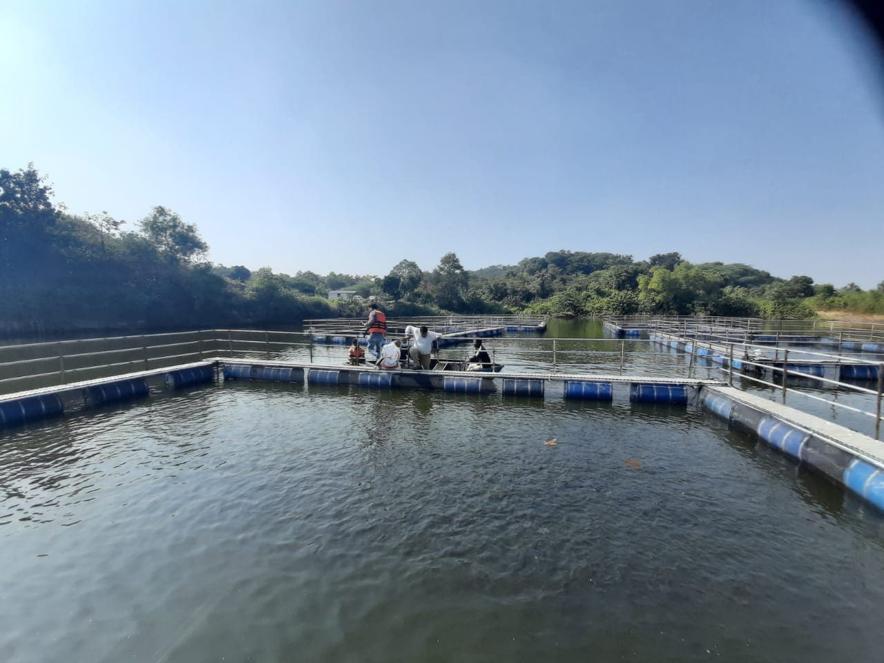 Jharkhand News: मछली पालन को बढ़ावा देने के लिए झारखंड सरकार देगी सब्सिडी, जानें पूरी योजना