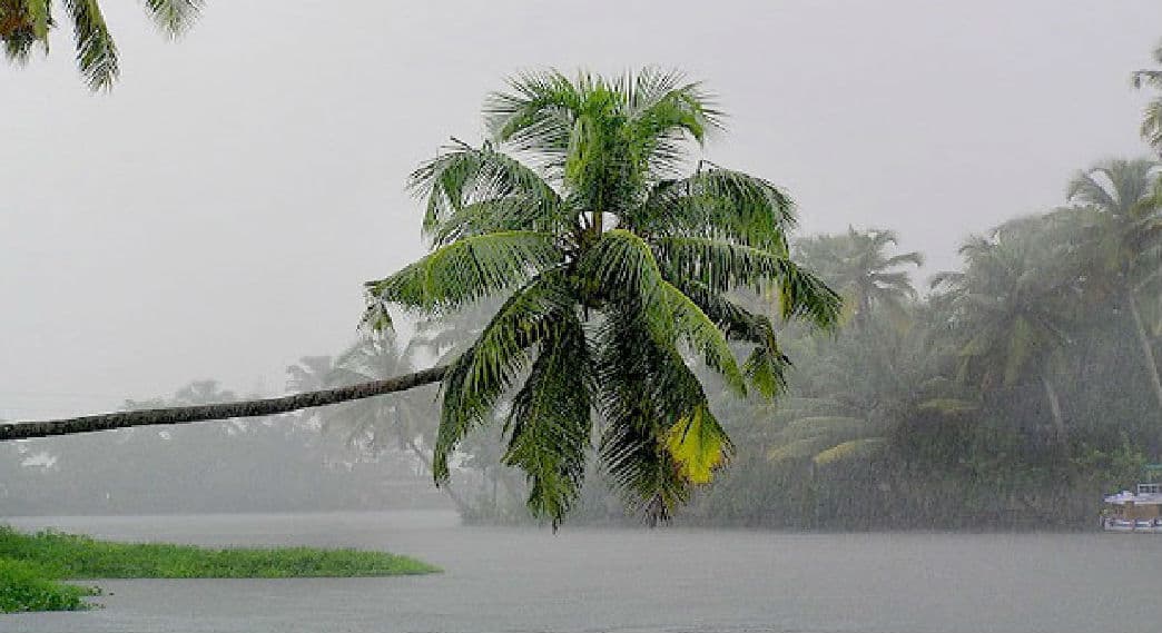 केरल में कोरोना वायरस के बाद अब इस बीमारी का बढ़ा खतरा, अबतक 65,039 लोग हुए पीड़ित