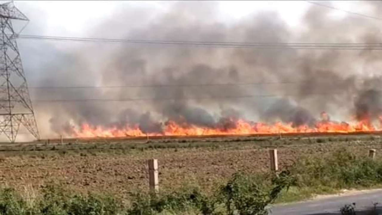 बिहार के किसानों के लिए बड़ी खबर: तैयार फसल में लग सकती है आग, बिजली विभाग ने सुझाया बचाव का ये तरीका...
