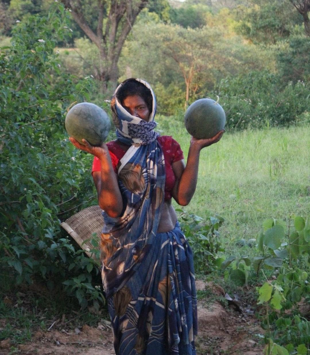 गुड न्यूज : लॉकडाउन में भी खिले किसानों के चेहरे, कृषि नियंत्रण कक्ष के जरिए बिक रहीं सब्जियां