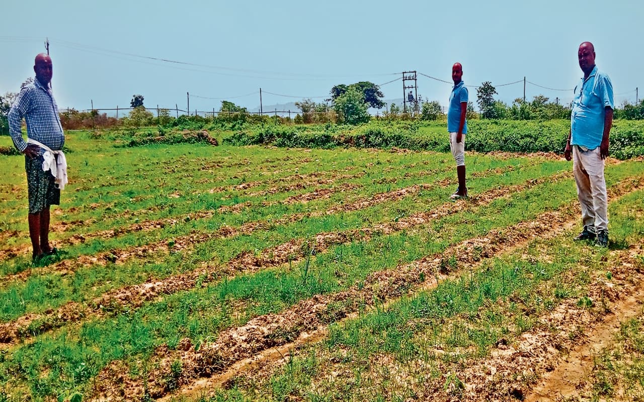 बोकारो : बेरोजगारी और पलायन का दर्द झेल रहे परिवारों ने चुनी खेती की राह, चाचा-भतीजे की मेहनत से लहलहायेगी फसल