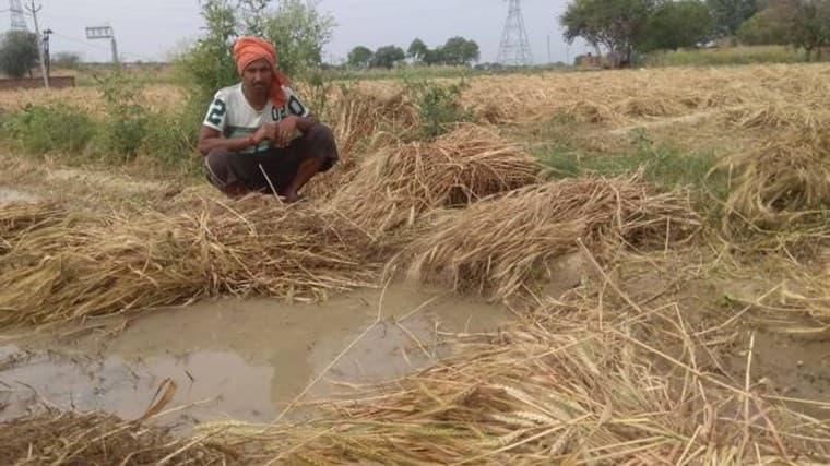 PM Kisan 2023: किसानों के लिए बड़ी खुशखबरी! अब मिलेंगे 8000 रुपये, जानें कब आएगी 15वीं किस्त, कैसे करें अप्लाई PM Kisan 2023: किसानों के लिए बड़ी खुशखबरी! अब मिलेंगे 8000 रुपये, जानें कब आएगी 15वीं किस्त, कैसे करें अप्लाई