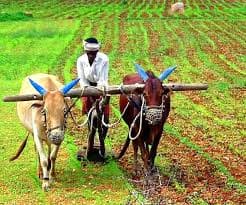 बिहार के बाढ़ग्रस्त क्षेत्र के किसान कर सकते हैं आवेदन, मिलेगा कृषि योजना का लाभ