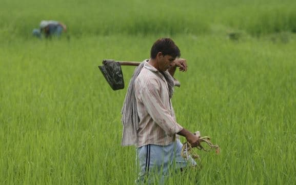 खेत-खलिहानों से विकास की राह