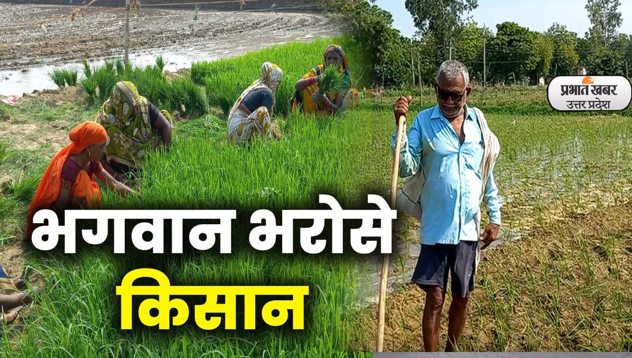 Weather Update: यूपी में नहीं बरसा पानी, धान की रोपाई प्रभावित, किसान निराश