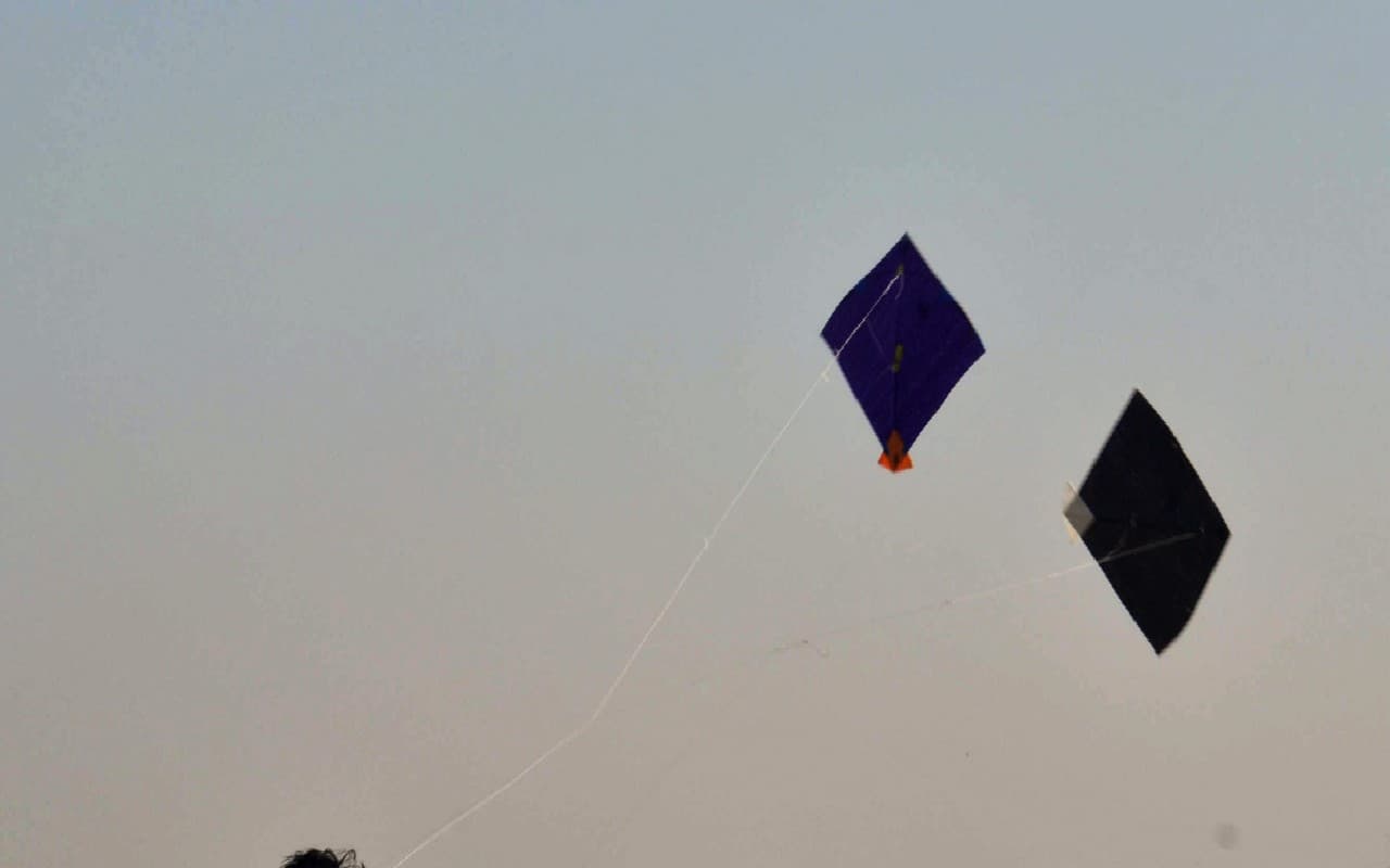 UP News : दो दिवसीय जमघट ने लखनऊ के पतंग बाजार में ला दी हलचल, बढ़ा दिया उत्साह