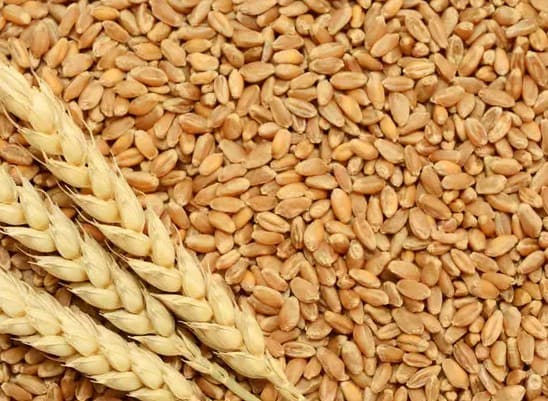 Bokaro news : खाद्य सुरक्षा योजना के अहर्ता रखने वाले एक भी लाभुक योजना के लाभ से ना छूटे - गोमिया बीडीओ