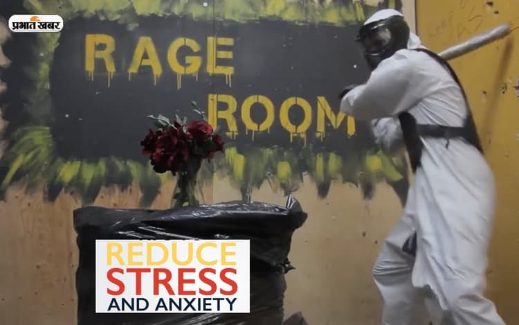 Stress करना चाहते हैं दूर तो यहां पर चीजों को तोड़कर अपनी निराशा करें दूर