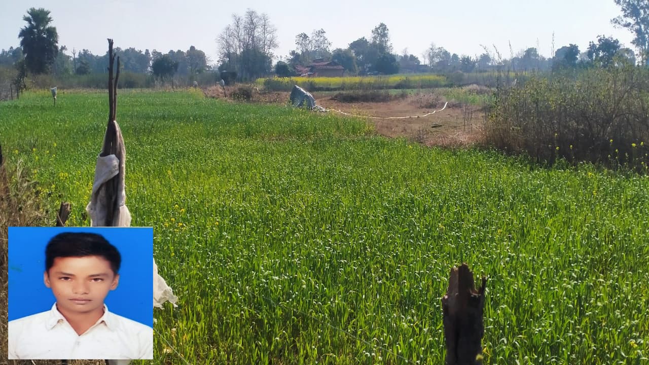 बिजली तार की चपेट में आने से कोडरमा में नील गाय सहित नाबालिग की मौत, दो घायल, जानें कैसे लगा करंट