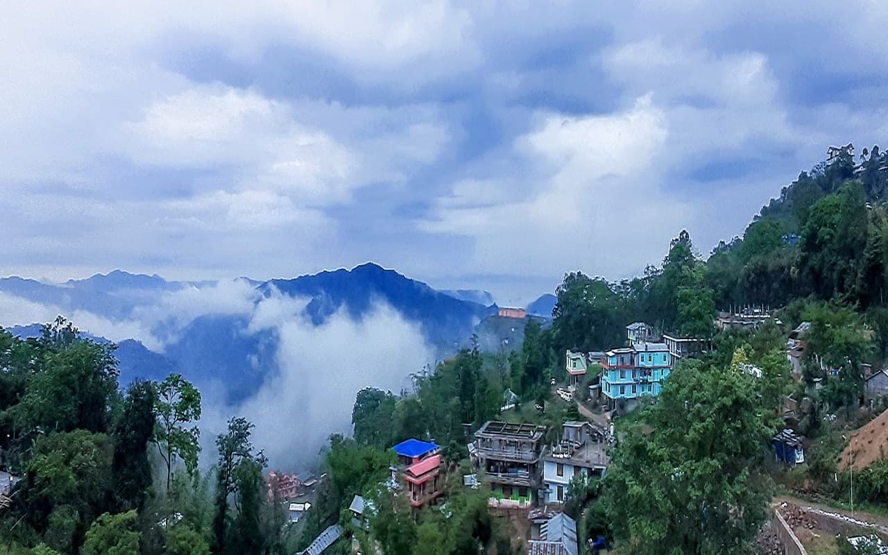 कीड़े, मक्खी, मेंढक के मीट से जहां सजती है खाने की प्लेट, पैसे की भूख परेशान नहीं करती, जानें अनोखी संस्कृति को