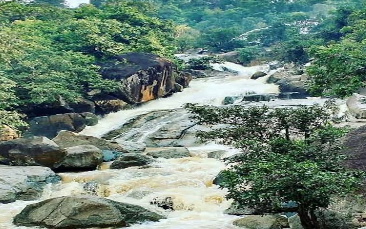 New Year 2023 : नये साल पर पर्यटकों को बुला रही हैं झारखंड के गिरिडीह की ये मनोरम वादियां