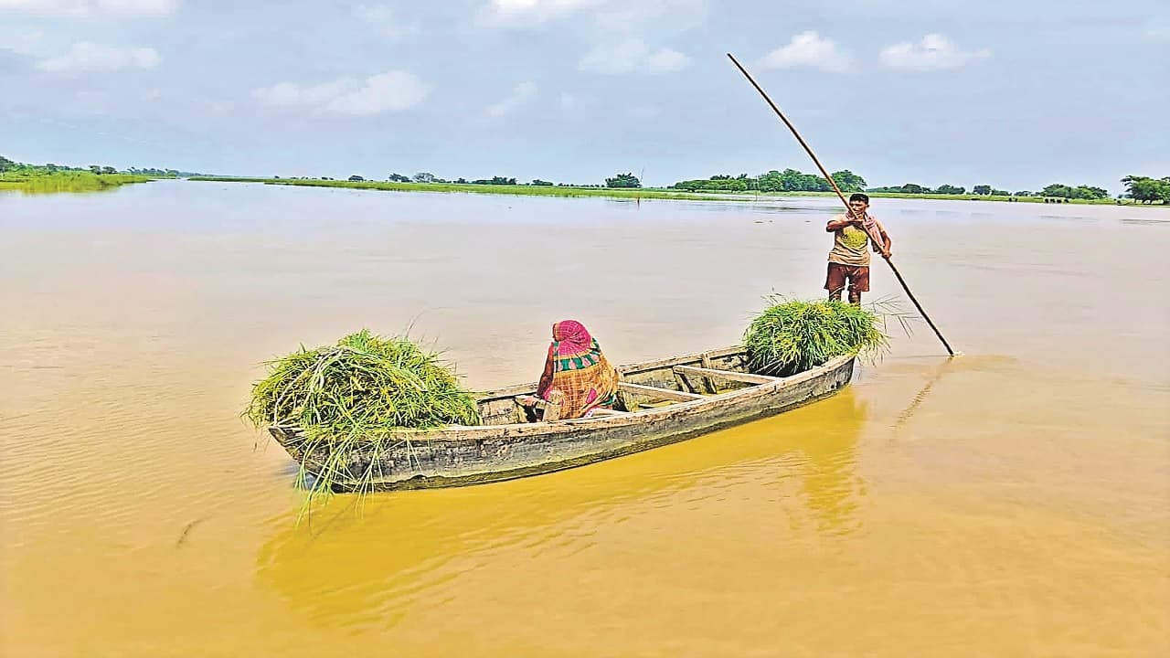 PHOTOS: सुपौल में कोसी से मची तबाही का देखें नजारा, नेपाल में हो रही बारिश ने बिहार की बढ़ाई चिंता..