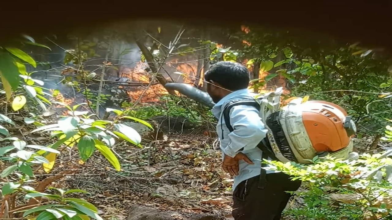 झारखंड के एक शिक्षक का पर्यावरण प्रेम देख होगी हैरत, जंगलों में लगी आग को यूं बुझाते हैं कुलेश्वर महतो