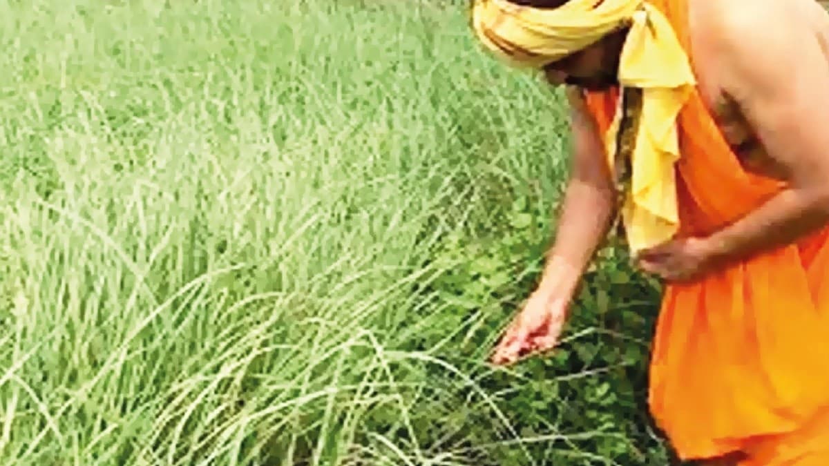 कुशोत्पाटनी अमावस्या : हरती है जीवन की समस्याएं